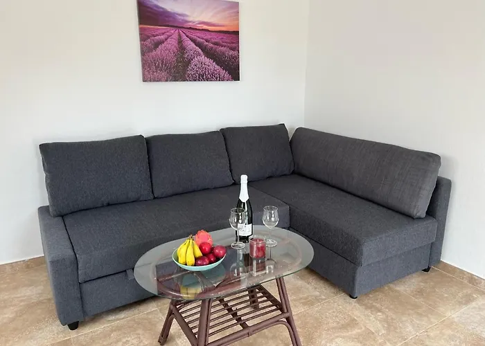 公寓式酒店 Estrella Polar 3*